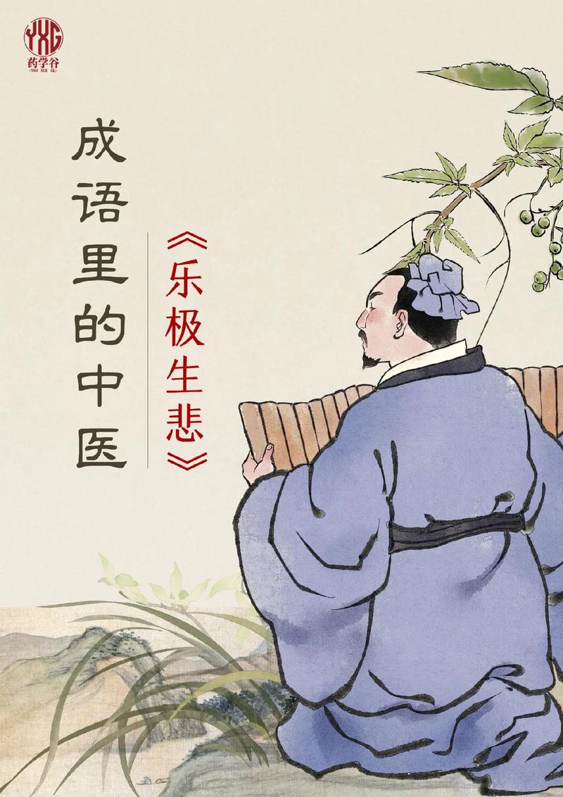 乐极生悲与生肖之谜，揭秘兔的智慧