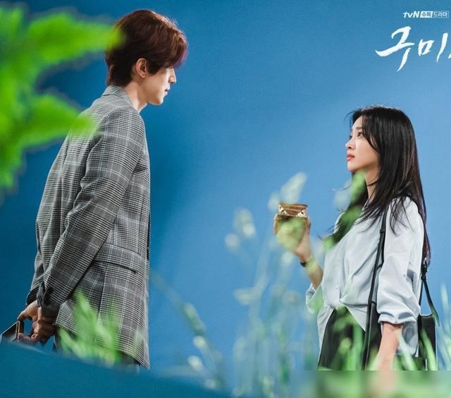 按兵不动的智慧，揭秘静默之狐—狐狸的生存哲学