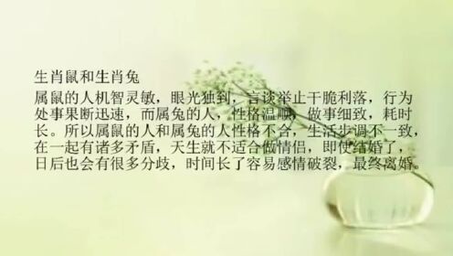 生死离别代表什么生肖，一场误导解释的落实与反思
