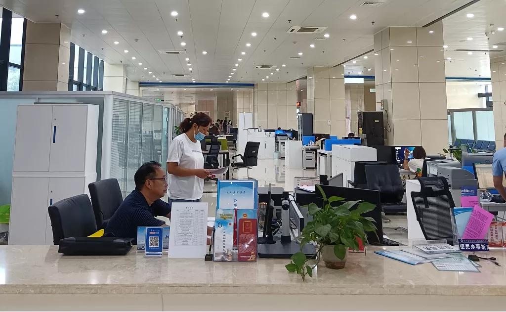 揭秘一言九鼎背后的生肖之谜，精准解答与落实精神