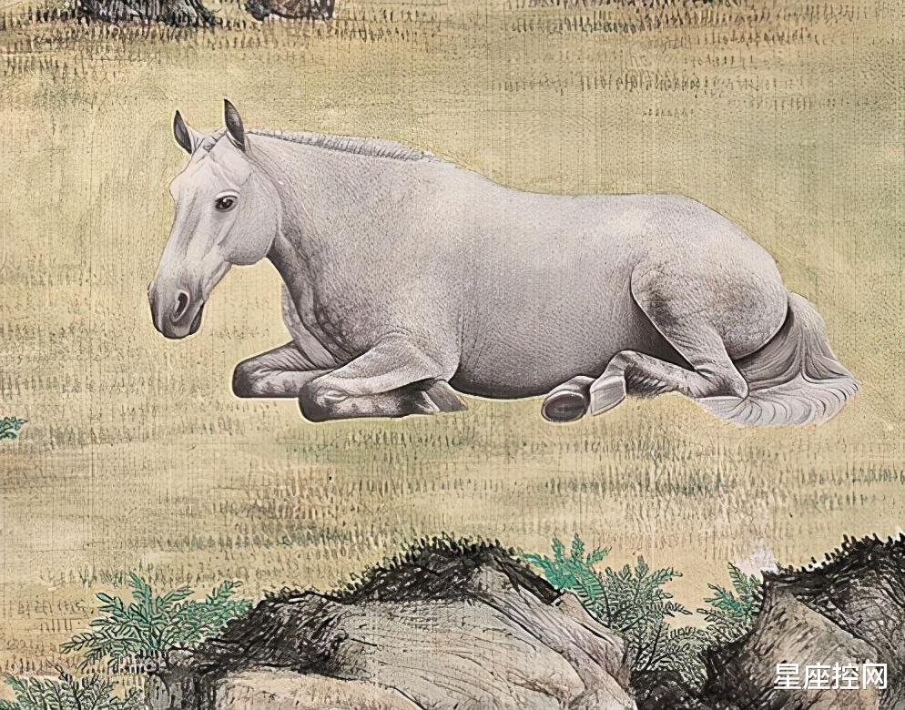 飞黄腾达打一生肖动物，解析作答落实解释