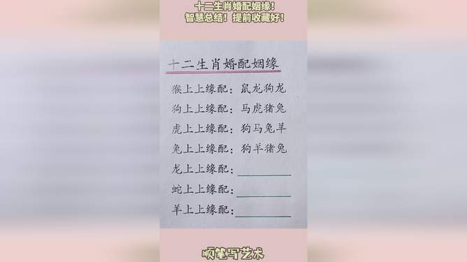 揭秘二进四得十的奥秘，探寻生肖之谜与智慧结晶