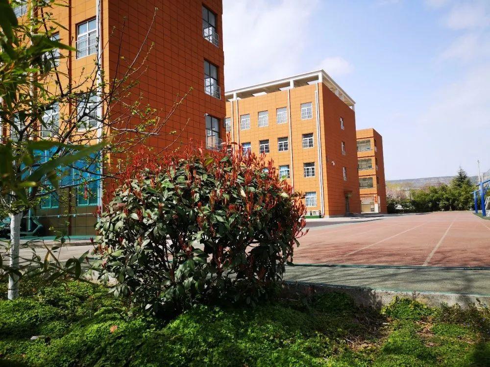 傍柳随花，探寻生肖之谜的精准解答与文化精神落实