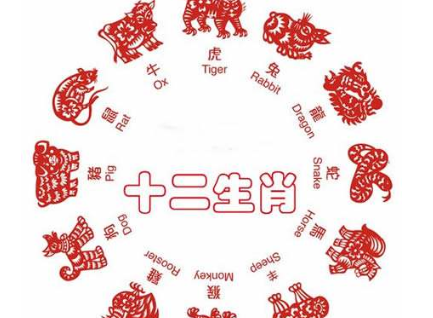 今年18岁属什么生肖，网络解释的落实