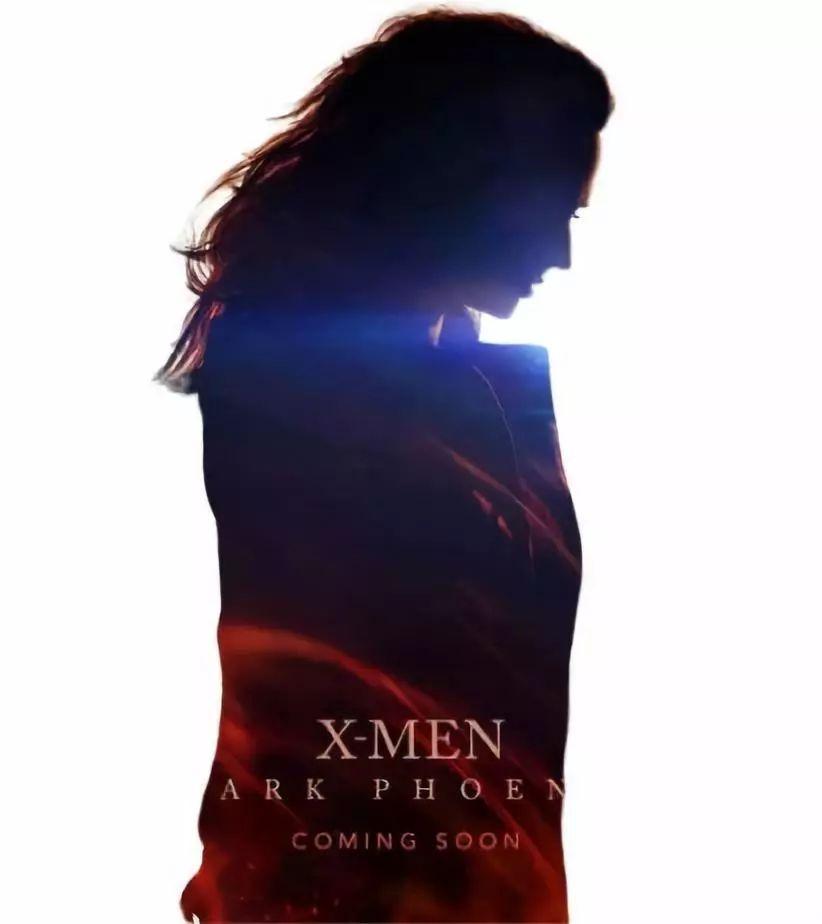 南方生肖文化探秘，真相与解释的深度落实