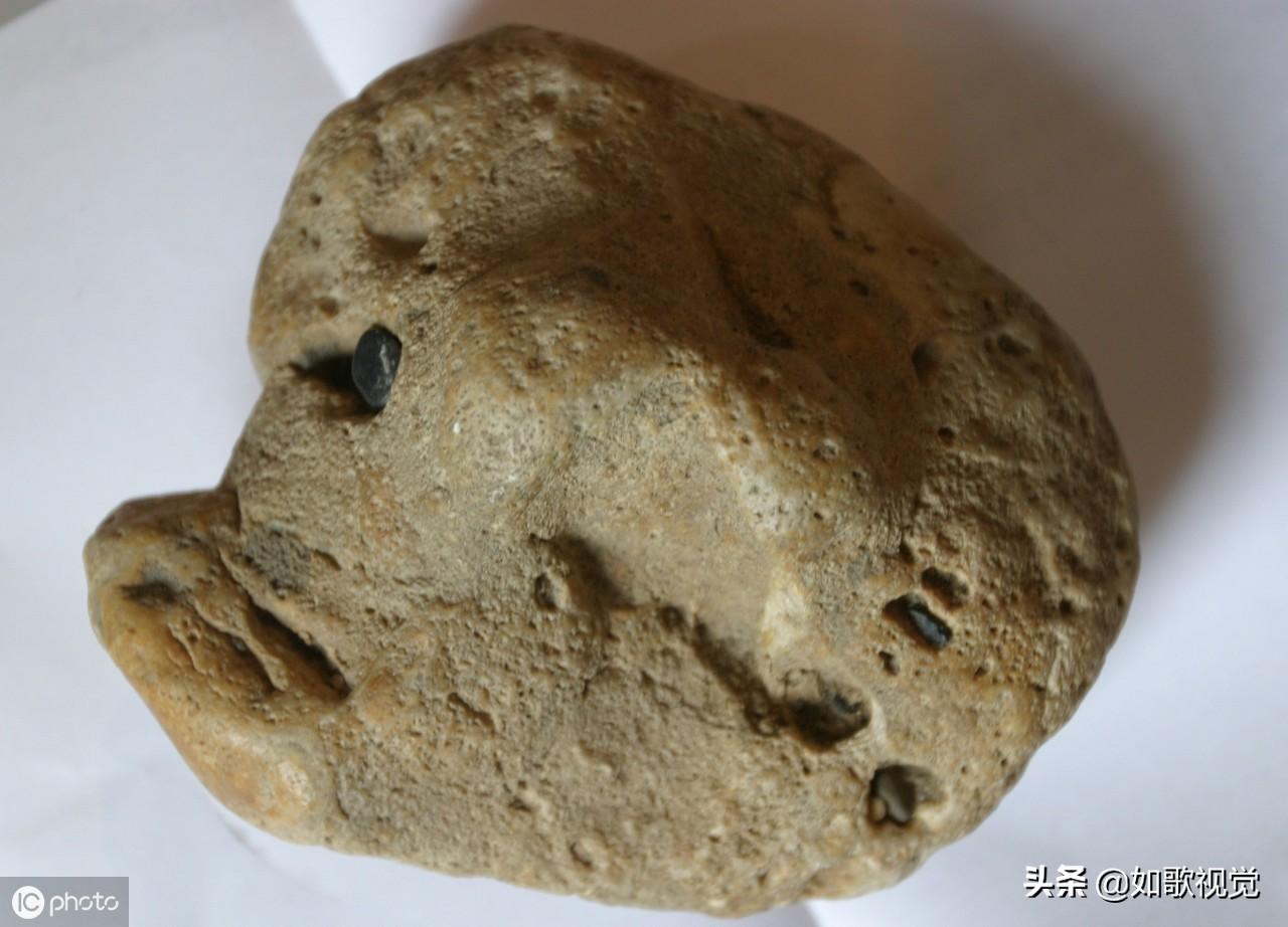 好吃懒做的生肖，时代变迁下的新解读与落实