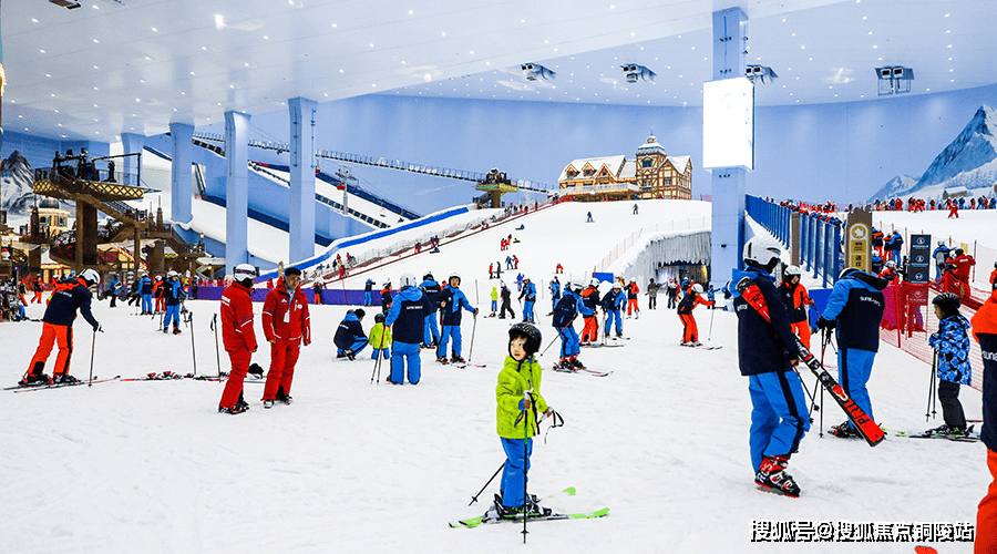 解析五六年属什么生肖，生肖文化与时间流转的奥秘