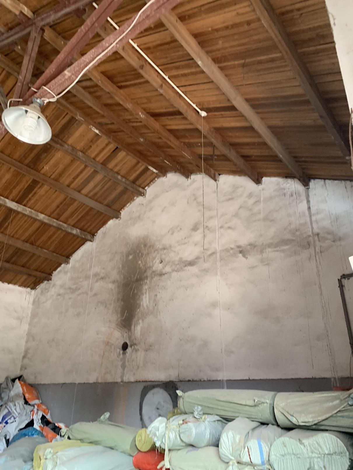 令出如山猜一生肖，揭秘背后的文化与智慧