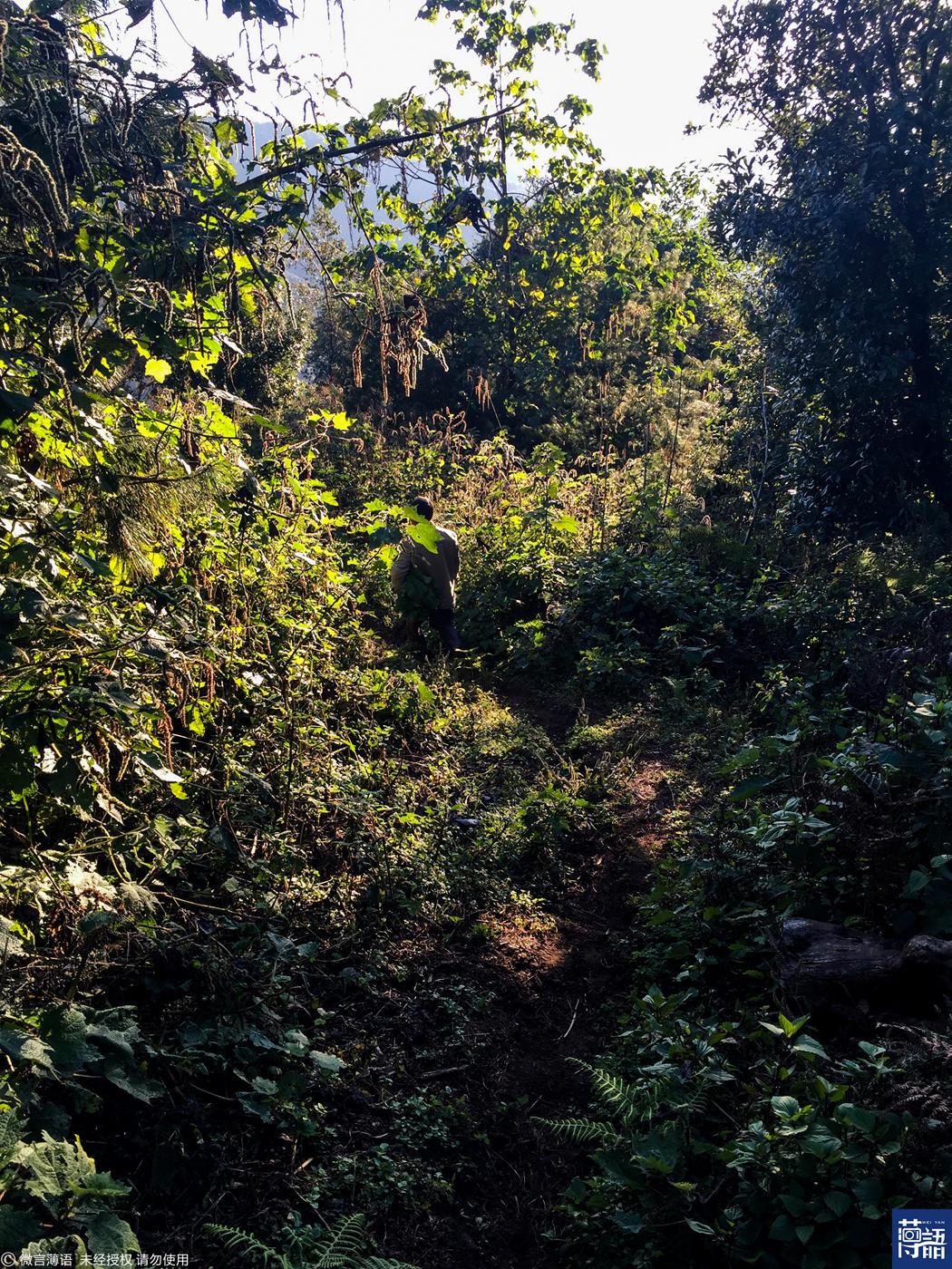 荒山野岭的生肖谜团，探寻打一生肖的背后故事