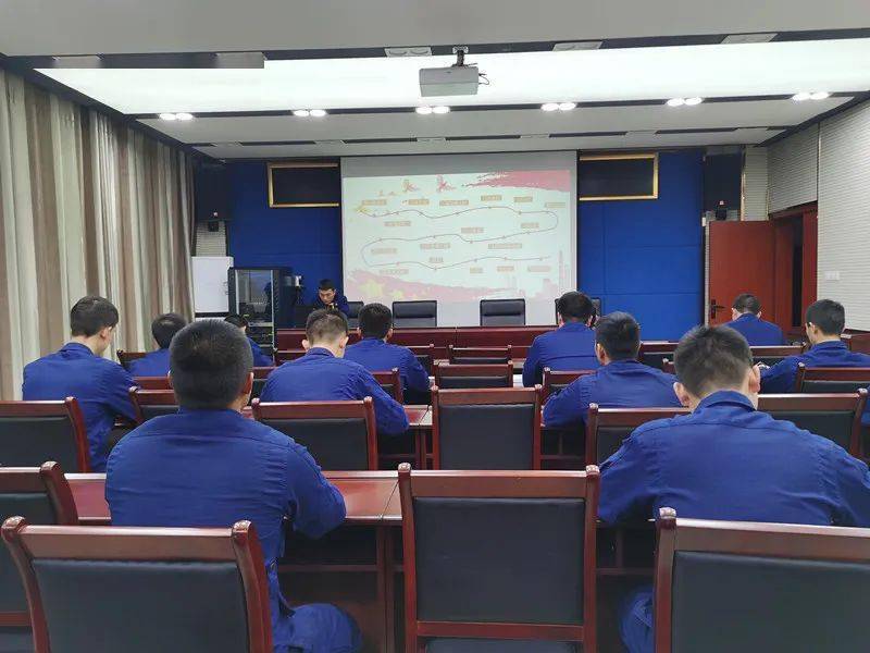 春意盎然，生肖兔的积极转变与落实