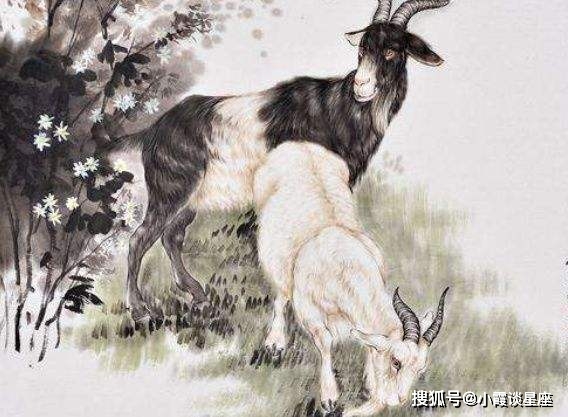 贪图享受的生肖，深度解析与智慧思考