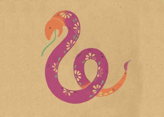 吉人天相，揭秘生肖背后的神秘寓意