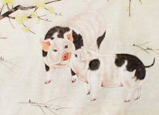 谜语解析，无头无尾的生肖之谜