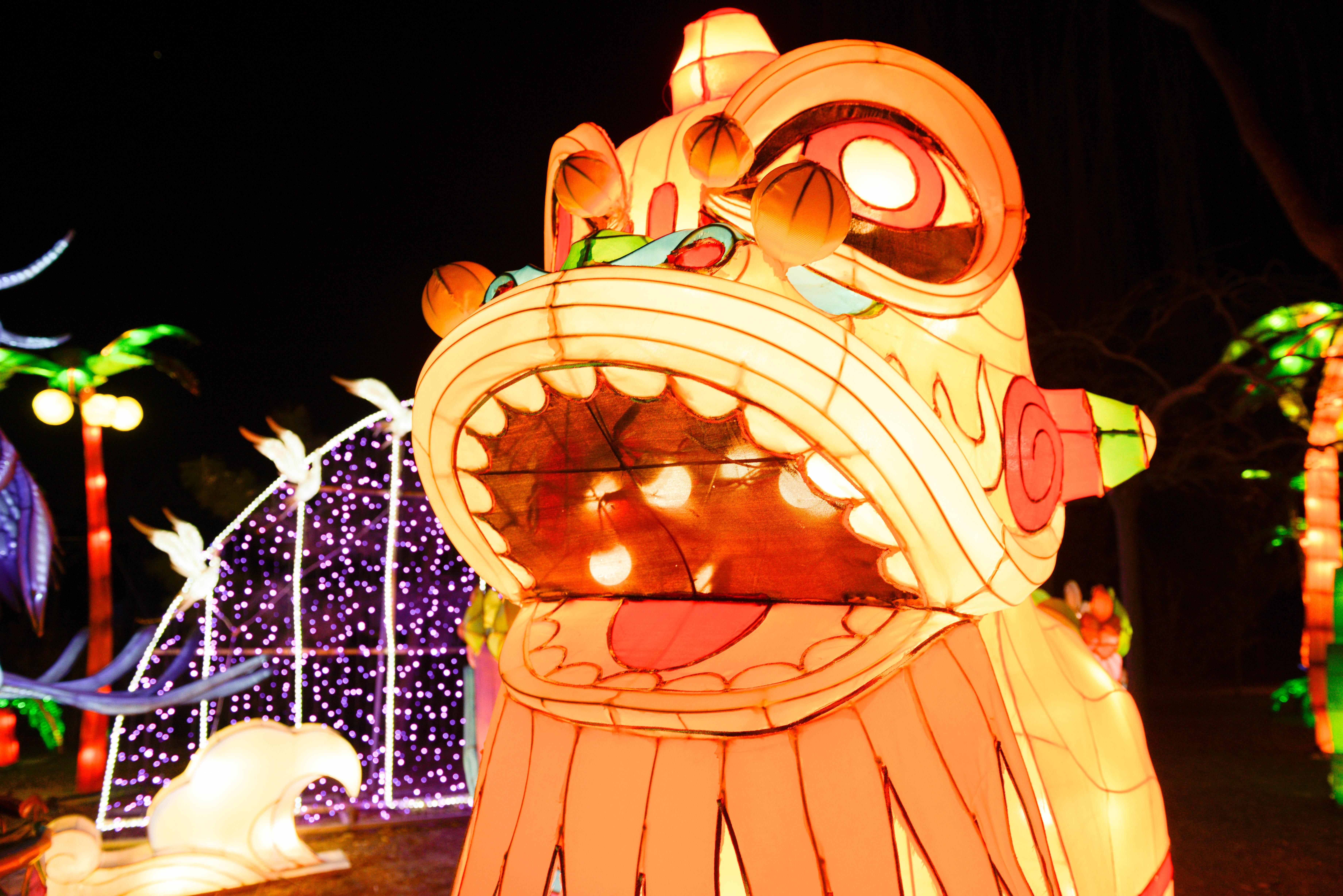 夜的生肖，鼠—暗夜中的智慧与哲理