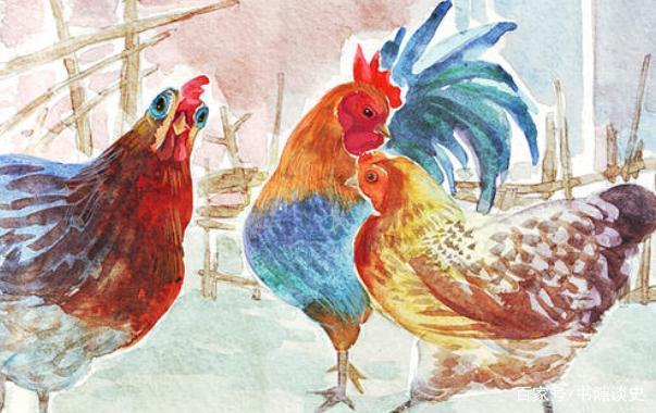 牝鸡司晨是什么生肖，佩服作答落实解释