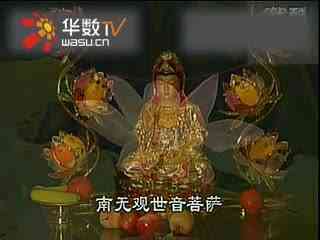 普渡众生，生肖之谜的深度解析