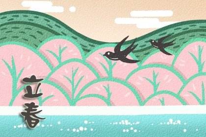 立春代表什么生肖，精选解析与落实的详细结果