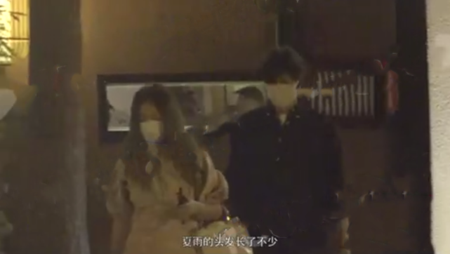 十分春光夏雨夜，生肖之谜的全面解析