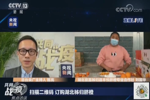 揭秘一声春雷震天响背后的生肖奥秘