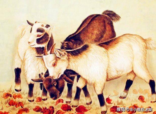 含辛茹苦的生肖，奥秘解释落实