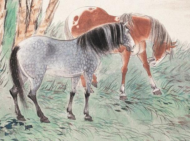 出奇制胜猜一生肖，正确解释与落实