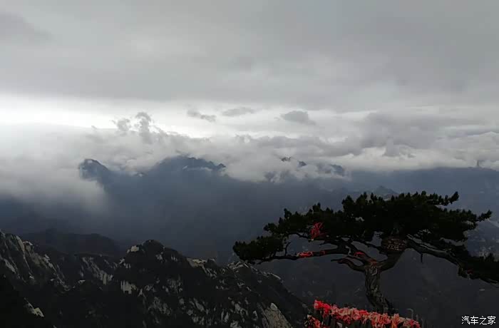 不到长城心不死，生肖中的坚韧与转变