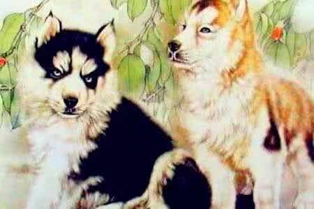 贵人相伴，揭秘狗的生肖贵人