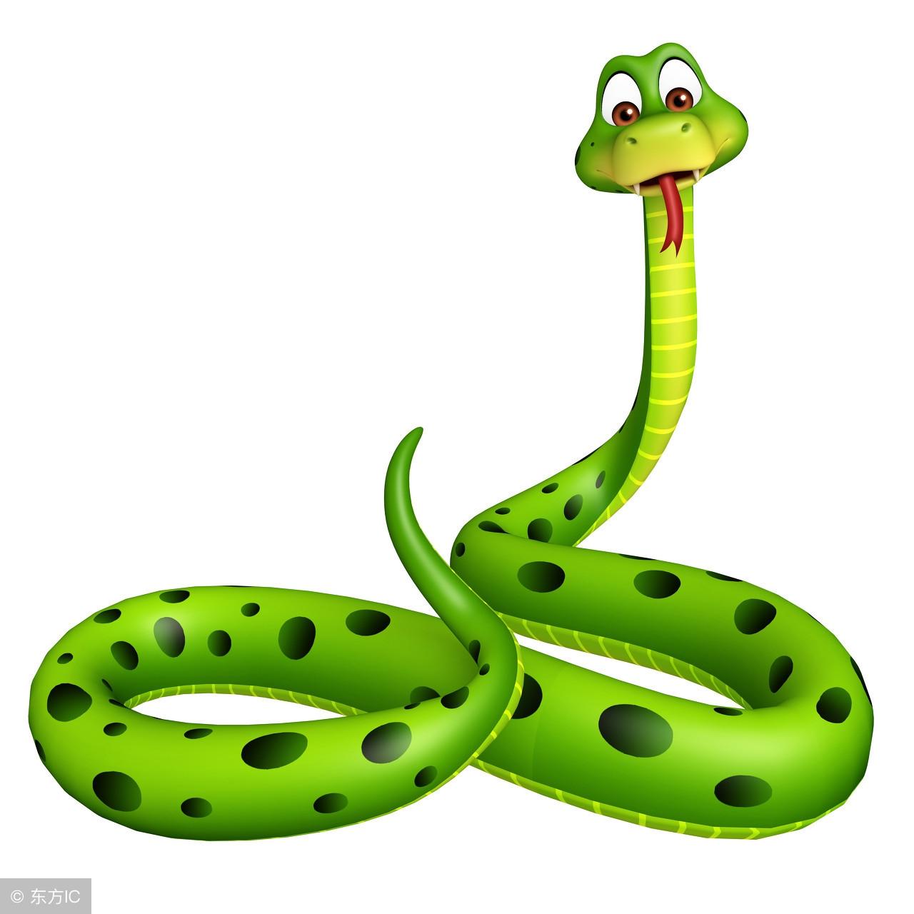 买穷人的生肖之谜，文化习俗与心理投射的深度解析