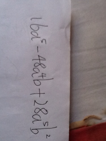 木已成舟打一正确生肖，解析作答落实解释