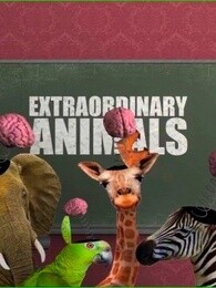 历历在目，揭秘非凡解释背后的动物谜团