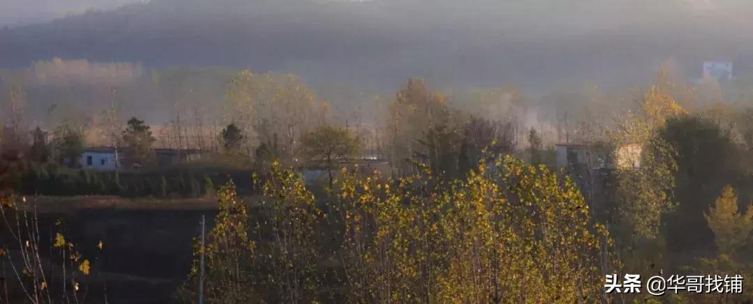 青堂瓦舍打一正确生肖,网络解释的落实 青堂瓦舍打一正确生肖,网络解释的落实