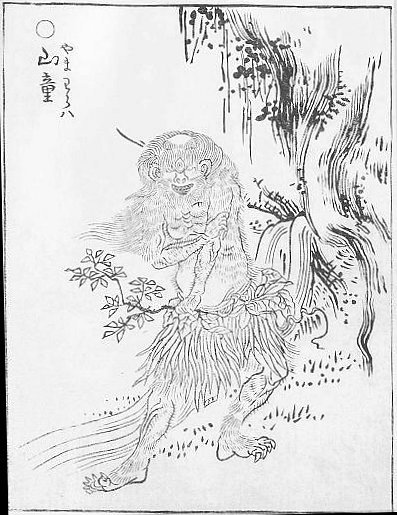 丑时之谜，揭秘哪个生肖与丑字紧密相连