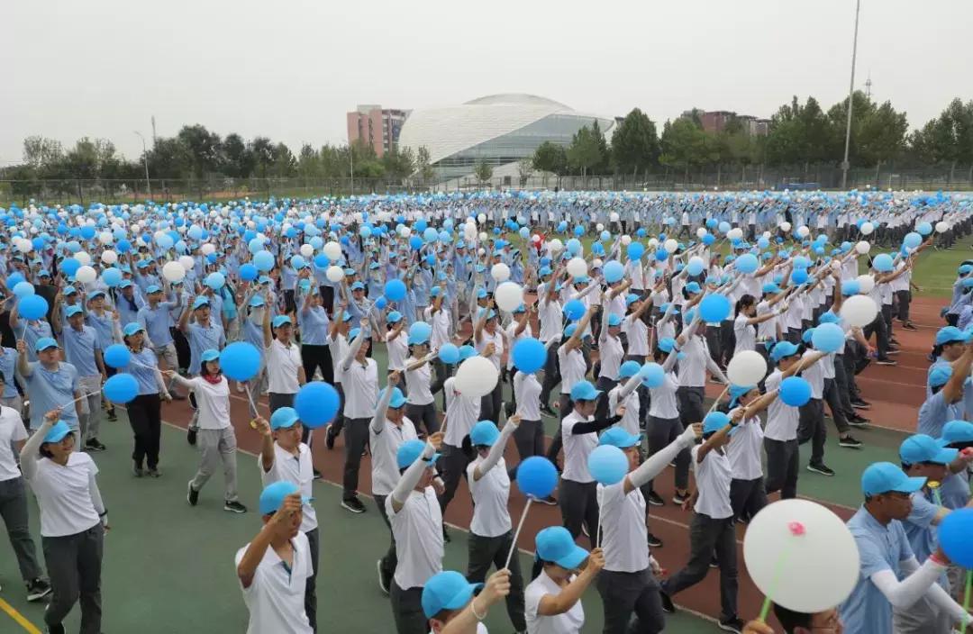 节外生枝猜一最佳生肖，揭秘如何选择并落实正确的