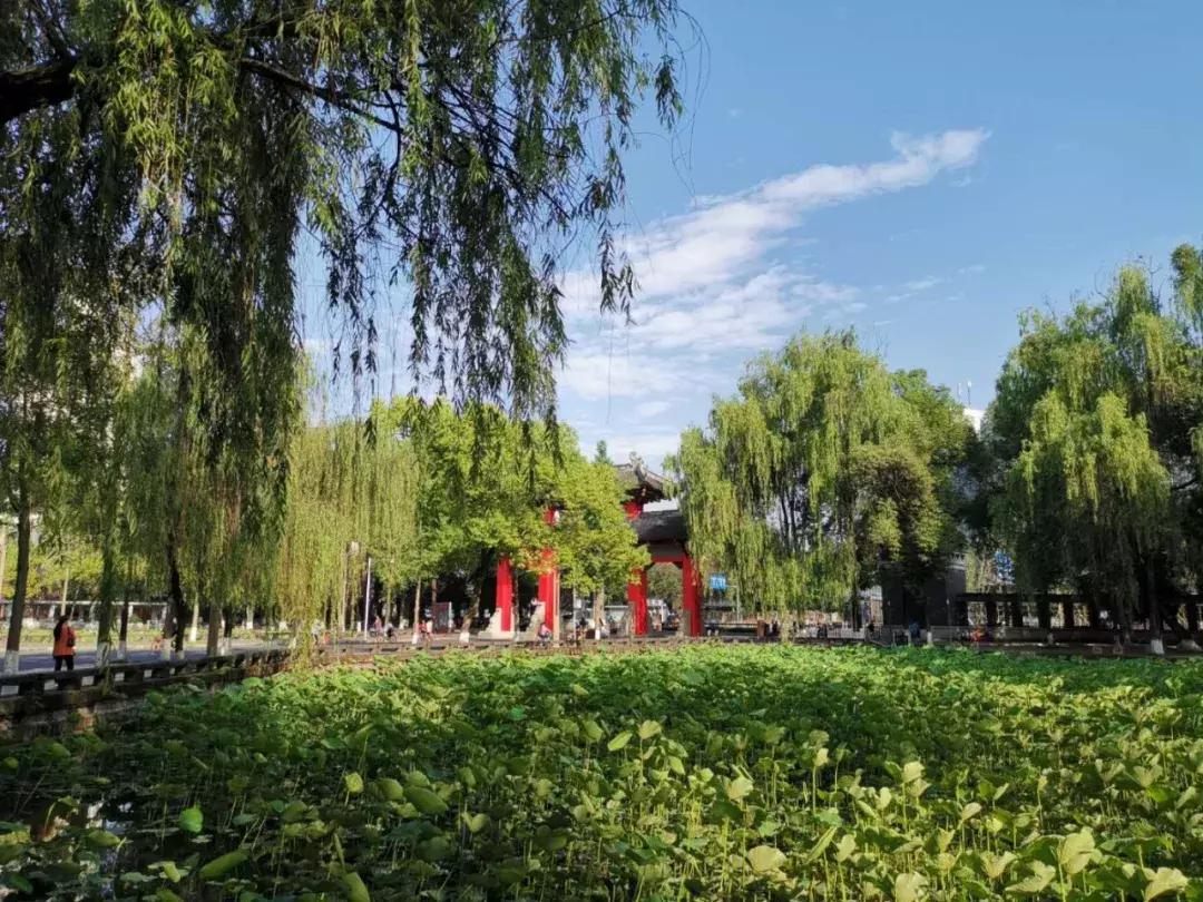 自得其乐的智慧，揭秘生肖中的神秘乐趣