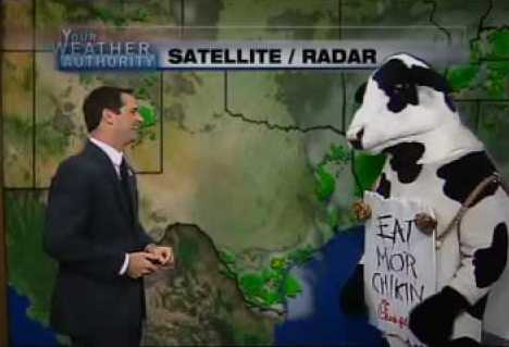 坐立不安的生肖，新型作答落实解释