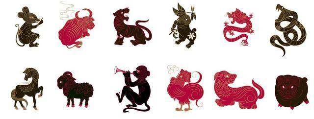 十二生肖与花语，探寻属相背后的花之密码