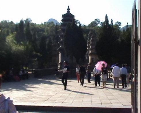 揭秘南拳北腿,生肖之谜与人生哲理的深度解析 揭秘南拳北腿,生肖之谜与人生哲理的深度解析