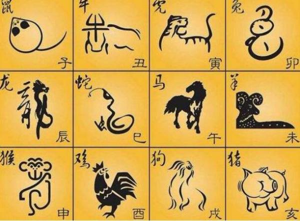 外国人有生肖吗？一次跨文化的友爱探索