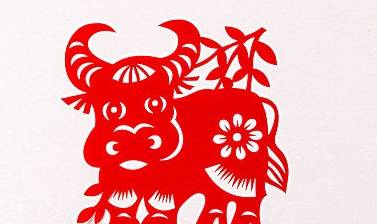 有声有色是指什么生肖，绝佳作答落实解释