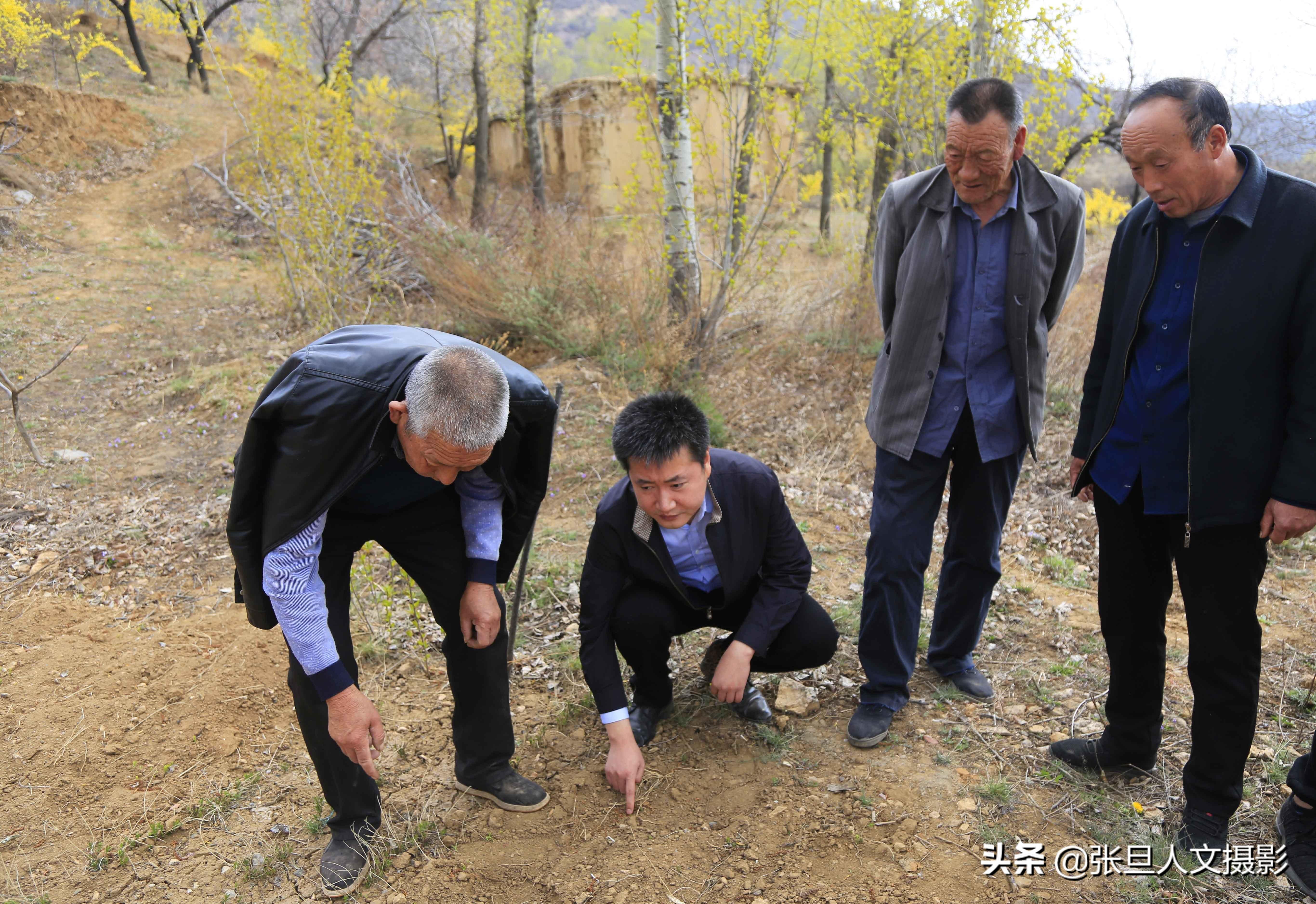 内忧外患打一生肖，马上为你揭晓落实