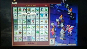 揭秘花容月貌代表的生肖与选择策略