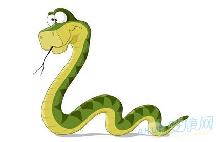 蛇与哪些生肖相冲，传统文化中的奥秘解析