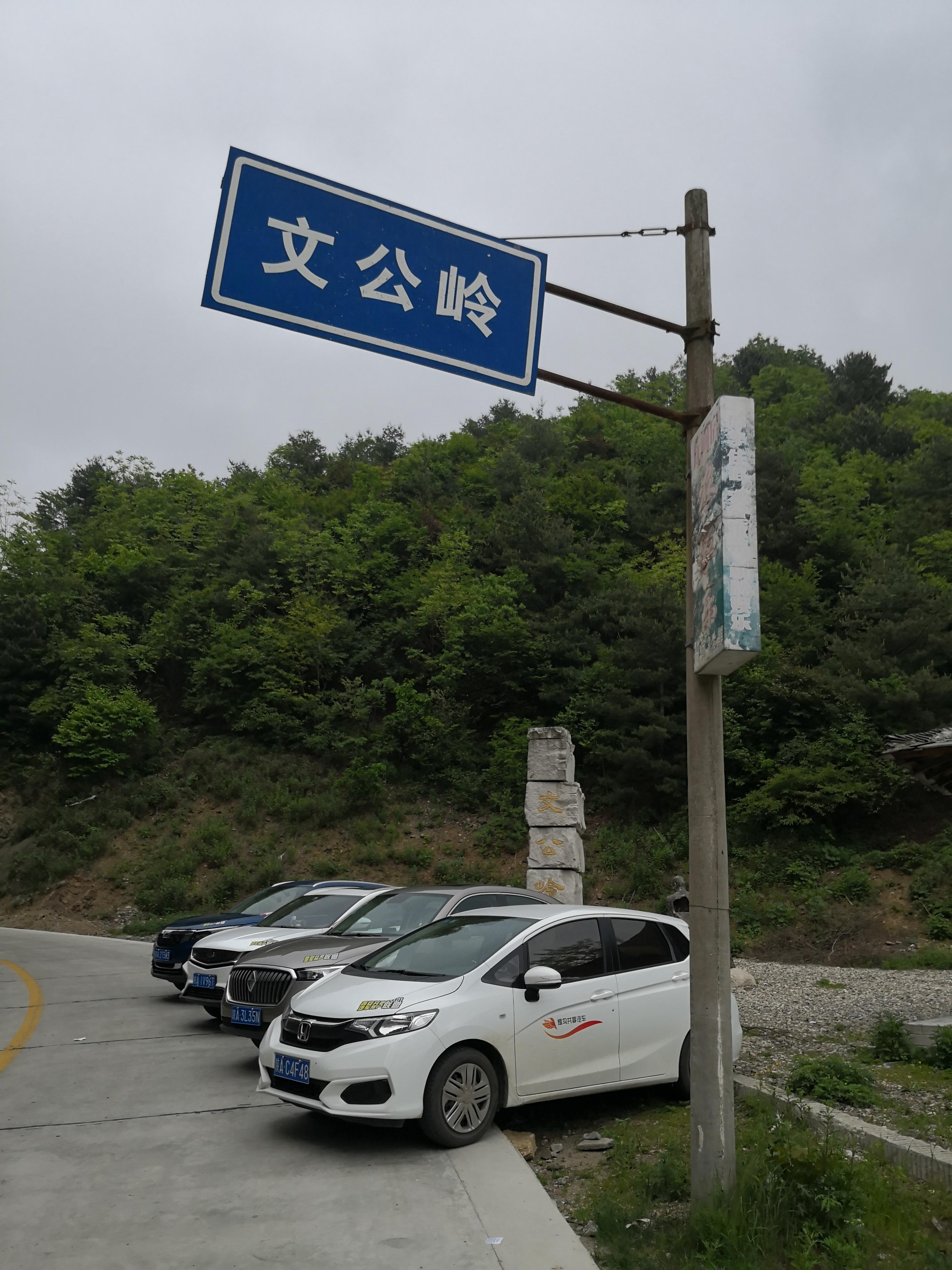 心心相印，生肖文化在现代生活中的温馨实践