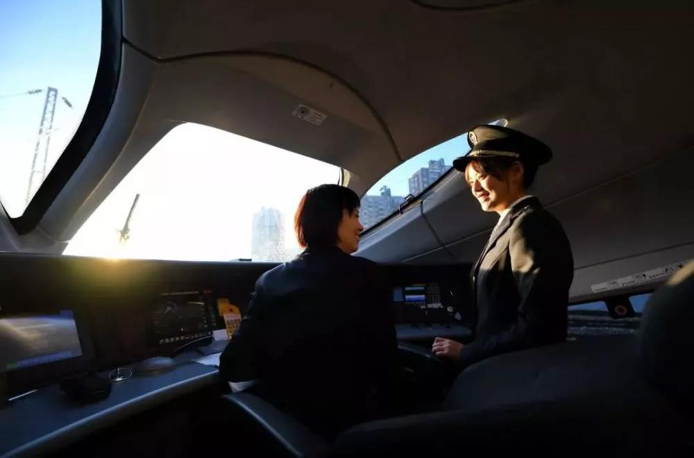 揭秘右肖，哪些生肖属于右肖及其文化解读