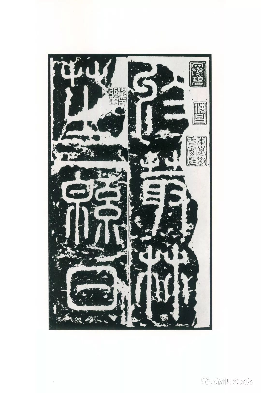 山以凌尺故能高猜一生肖，经典解释作答落实