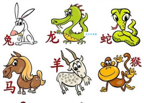 大大咧咧的生肖，实证解释落实