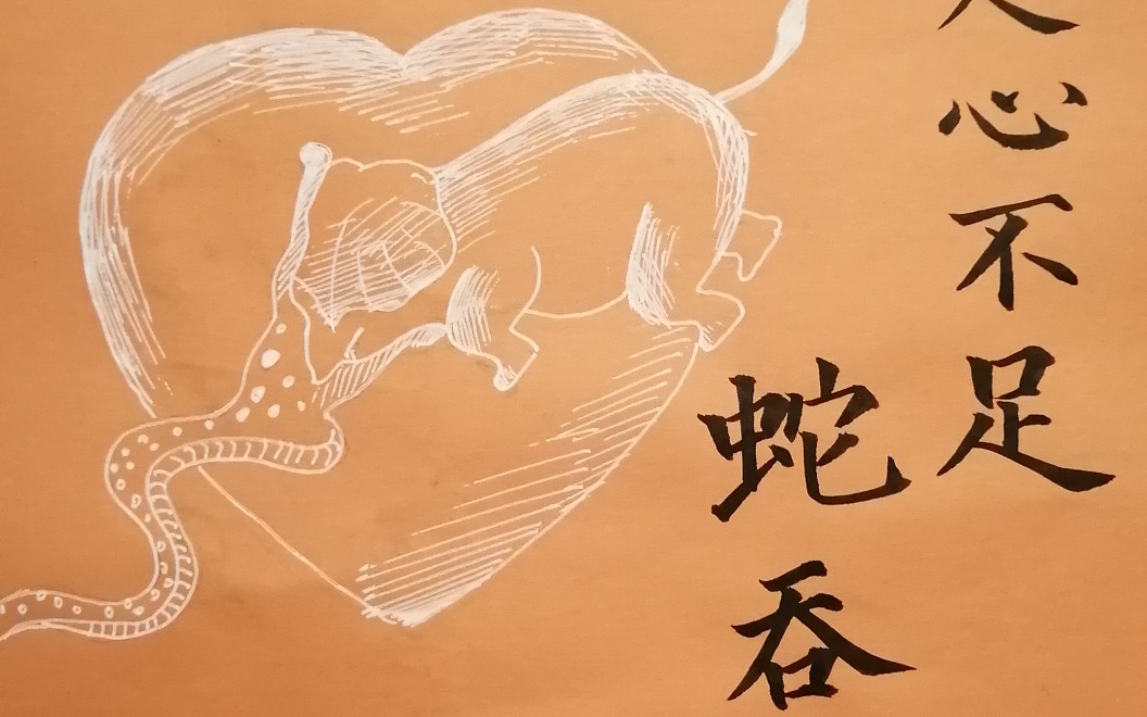 人心不足蛇吞象猜一生肖，一场误导解释的落实与反思