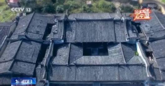 春风得意，生肖背后的文化寓意与友爱解读