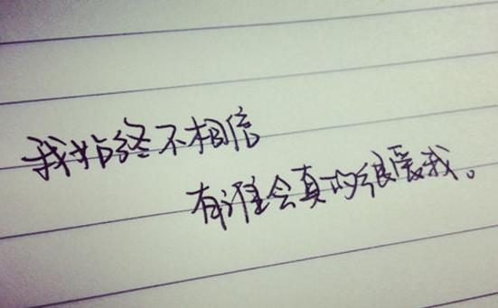 朝思暮想是什么生肖，的精准解答与落实精神