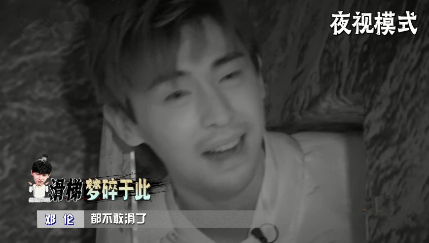 按兵不动的智慧，揭秘静默之狐—狐狸的生存哲学